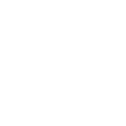 Identity Icon