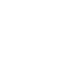 Identity Icon